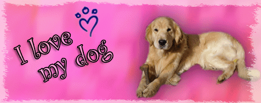 logo Caron.gif
